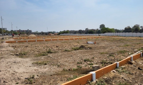 Both Plots